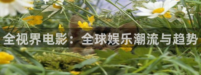 神马达达兔私人影院：全视界电影：全球娱乐潮流与趋势