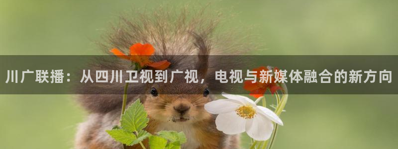 达达兔影：川广联播：从四川卫视到广视，电视与新媒体融合的新方向