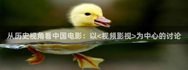流氓达达兔影院：从历史视角看中国电影：以<视频影视>为中心的讨论