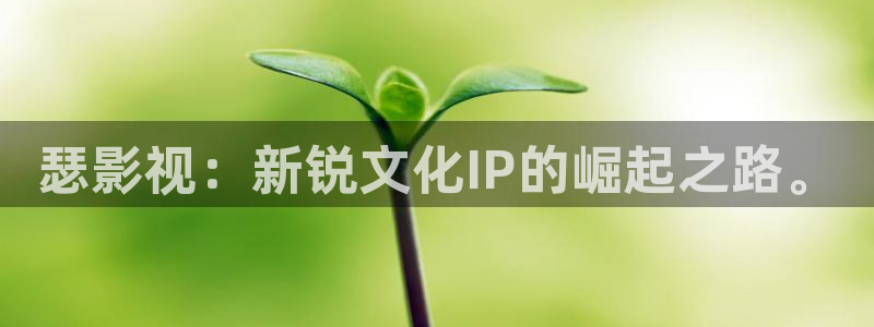 神马电影达达兔第九：瑟影视：新锐文化IP的崛起之路。